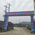 公司