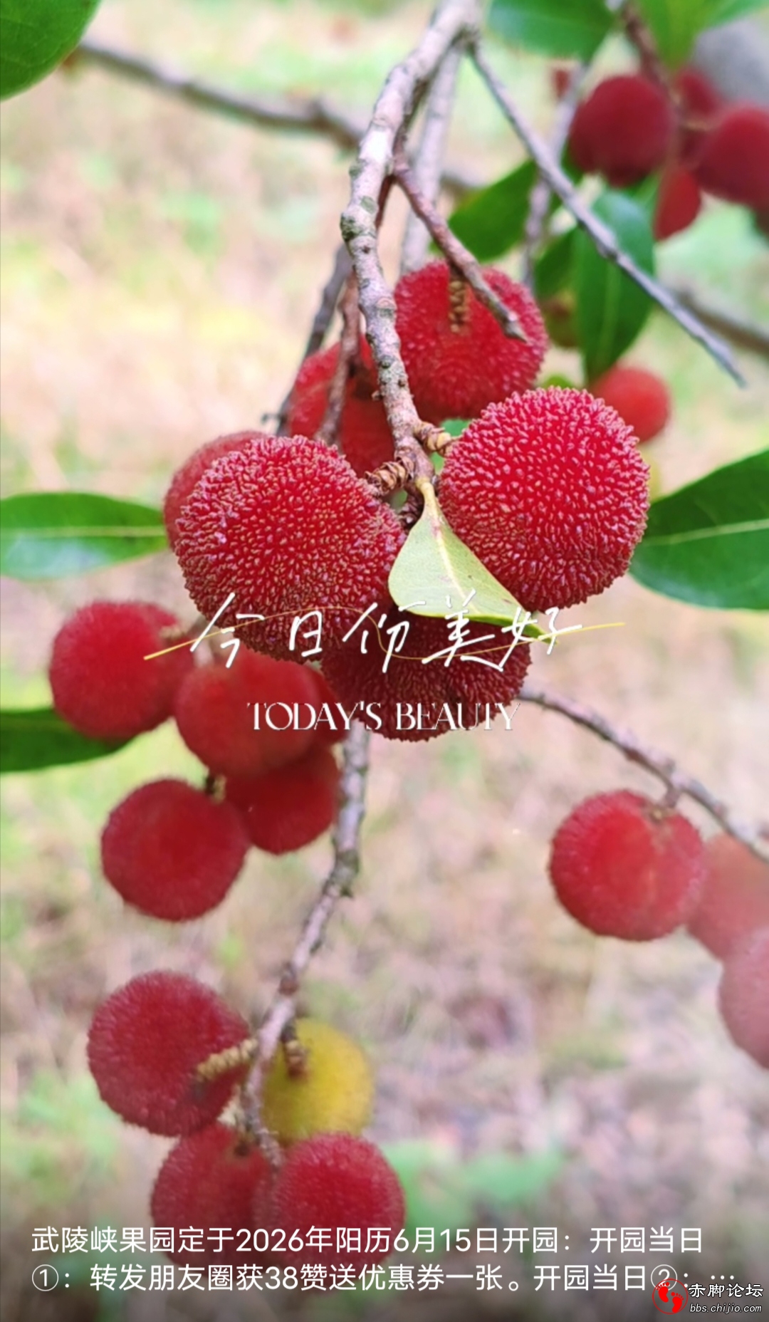 微信图片_20260610184210_778_117.jpg